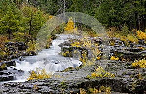 Scenic Rogue River Gorge photo