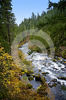 Scenic Rogue River - Oregon