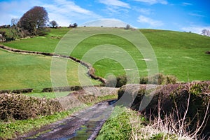 Scenic rolling hills in the English countryside with lush green grass and blue sky