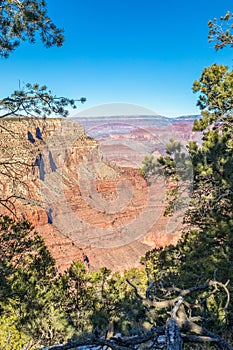 Scenic Grand Canyon South Rim