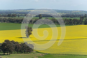 Scenic rural areas point view in regional Australia of Walla Walla is a town in the Riverina region of southern New South Wales.