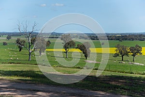 Scenic rural areas point view in regional Australia of Walla Walla is a town in the Riverina region of southern New South Wales.