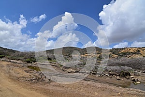 Scenic Rural Aruban Desert Landscape on a Sunny Day