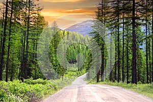Scenic rural drive in Montana