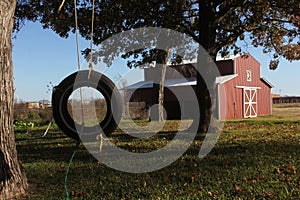 Scenic rural East Texas setting with a tire swing and red barn in the background