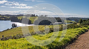 Scenic rural farmland panorama on the South Coast of Australia