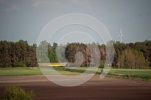 Scenic rural landscape featuring a large grassy field with trees and a windmill in the background