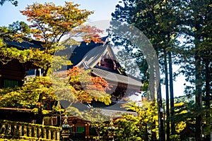 Scenic Sanbutsu-do Hall view at Nikko Toshogu Shrine complex