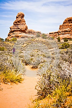 Scenic Sandstone Formations of Arches National Park, Utah, USA