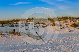 Scenic sandy ocean beach scene of sand dunes.