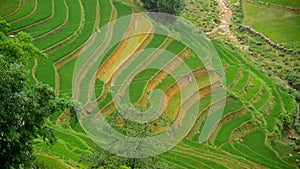 Scenic Sapa Vietnam