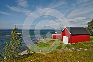 Scenic scandinavian house in green landscapa of Norway