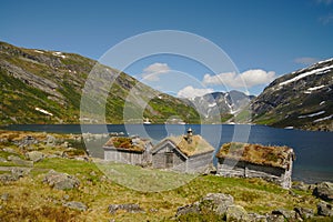 Scenic scandinavian house in green landscape of Norway