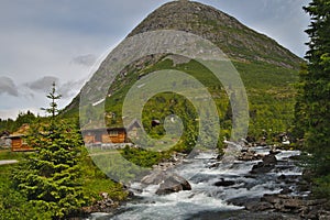 Scenic scandinavian house in green landscape of Norway