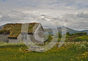 Scenic scandinavian house in green landscape of Norway