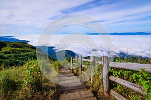 Scenic sea of fog with wooden walk way in Kew Mae Pan nature trail at sunrise. The Doi Inthanon National Park in Chiang Mai, Thai