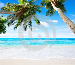 Scenic seascape with coconut palm trees and oceans turquoise water. Idyllic tropical beach scene