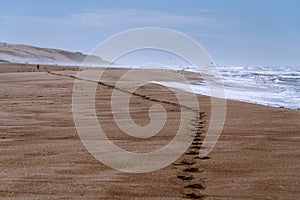 Scenic seascape, empty beach, and footprints on wet sand