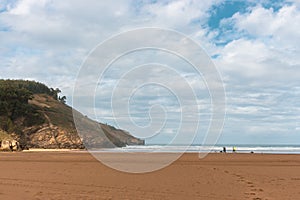 Scenic seascape with walking family and dogs. Family vacations. Cloudy sky above wide beach and mountain with cliffs.