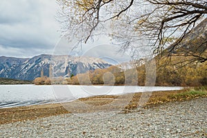 Scenic shore of Lake Pearson near Craigieburn, South Island