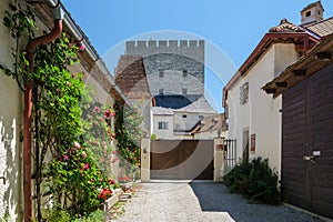 Scenic shot of the Castle Clam in Muhlviertel, Austria photo