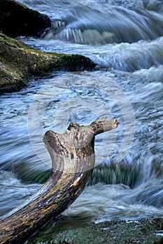 Scenic shot of driftwood on a rocky river with a silky water effect