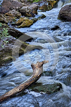 Scenic shot of driftwood on a rocky river with a silky water effect