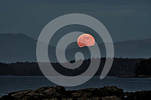 Scenic shot of the full moon rising over a lake surrounded by lush greenery in Canada