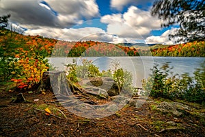 Scenic shot of the lake surrounded by fall forest against the Adirondacks, US
