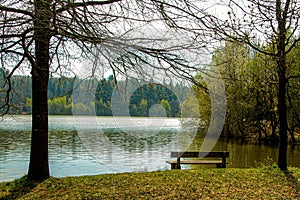 Scenic shot of a lonely bench against the lake surrounded by trees