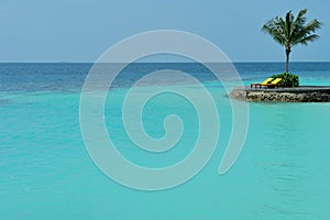 Scenic shot of a palm and beach chairs on the coast of the ocean of the Maldives