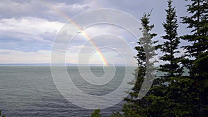 Scenic shot of a rainbow over the calm sea captured through the fir-trees