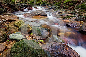 Scenic shot of a rocky river with a silky water effect in a forest
