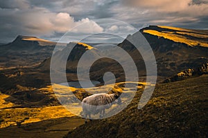 Scenic shot of the Scotland Quiraing landslip with mountains, a small lake, and sheep grazing