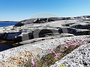 Scenic shot of a sea surrounded by stone mountains in Verdens Ende, Norway