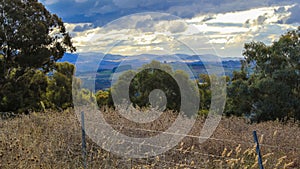 Scenic shot of vegetation from Molonglo Valley in Canberra, Australia