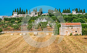 Scenic sight in Alberobello, the famous Trulli village in Puglia Apulia, southern Italy.