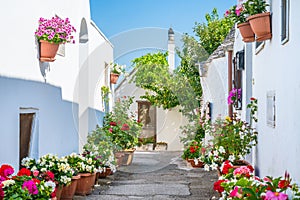 Scenic sight in Alberobello, the famous Trulli village in Puglia Apulia, southern Italy.