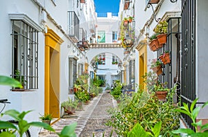 Scenic sight in the picturesque Cordoba jewish quarter. Andalusia, Spain.