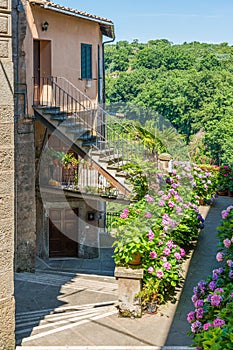 Scenic sight in the village of Vignanello, Province of Viterbo, Lazio, Italy.