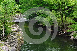 Scenic Smoky Mountains river