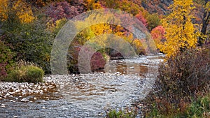 Scenic South Fork Ogden river in Utah