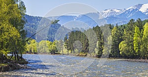 Scenic spring view, mountain river