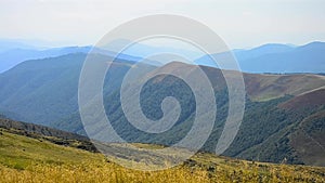 Scenic summer landscape in mountains with meadow grass