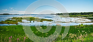 Scenic summer landscape in Norrbotten, Sweden