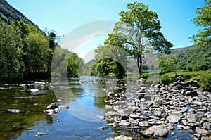 Scenic sunlit view along a calm river with a distinctive tree on one bank