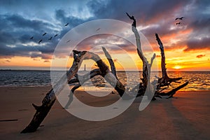 Scenic sunrise, Folly Beach, Charleston South Carolina