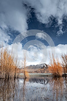 Scenic sunrise view of Lake Pukaki east bank, with their mesmerizing turquoise hue