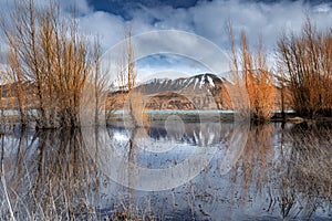 Scenic sunrise view of Lake Pukaki east bank, with their mesmerizing turquoise hue