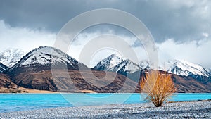 Scenic sunrise view of Lake Pukaki east bank, with their mesmerizing turquoise hue